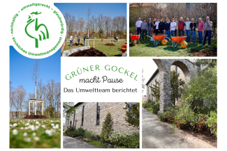 Baumpflanzaktion, Pflanzen vor der Kirche